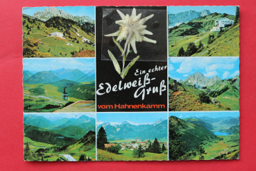 AK ein echter Edelweiss Gruss vom Hahnenkamm / 1940-1960 / Mehrbildkarte / echtes Edelweiss / Seilbahn / Strassen / Tirol